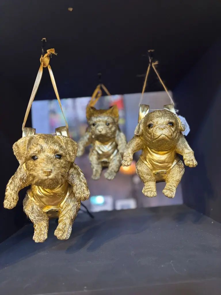 WhatsApp Image 2025-09-08 à 23.27.54_80c66178.webp