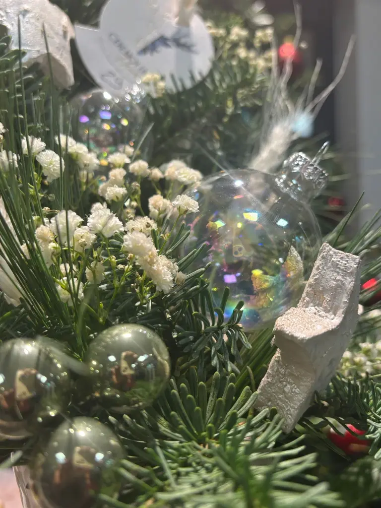 WhatsApp Image 2025-11-20 at 21.01.58.webp