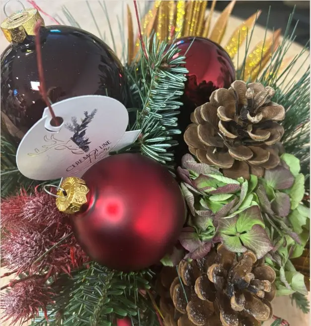 Capture d’écran 2025-11-20 213652.webp