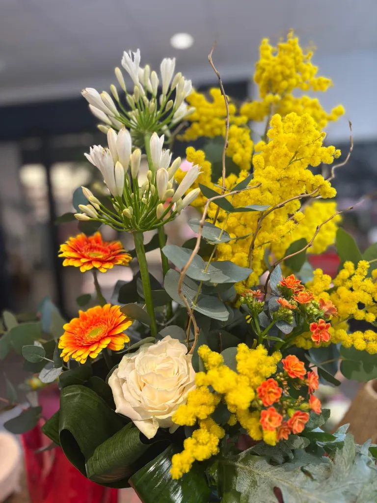 bqt hauteur jaune.webp