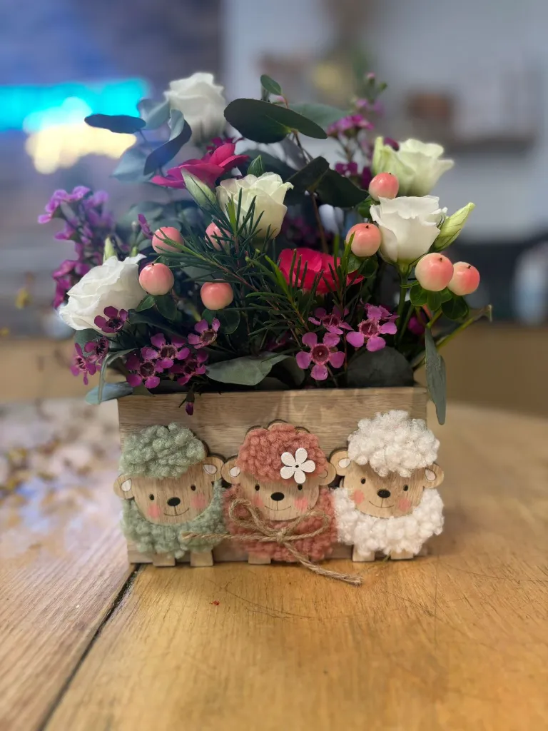 WhatsApp Image 2026-03-18 at 21.55.18 (1).webp