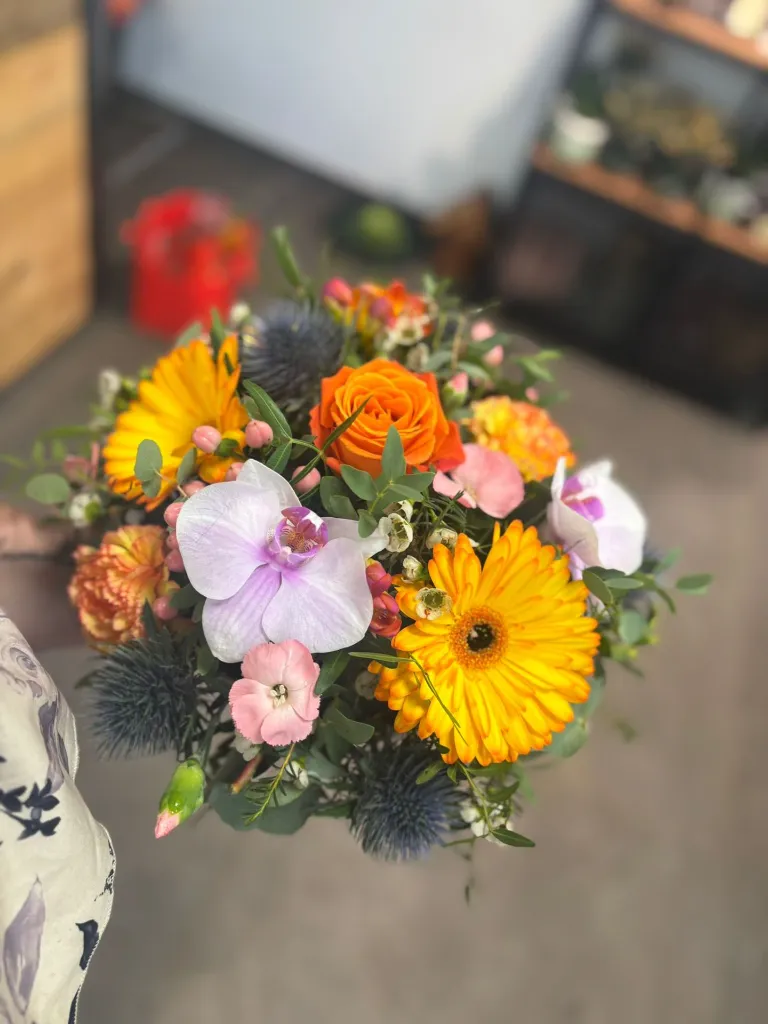 WhatsApp Image 2026-04-25 at 14.03.00 (3).webp