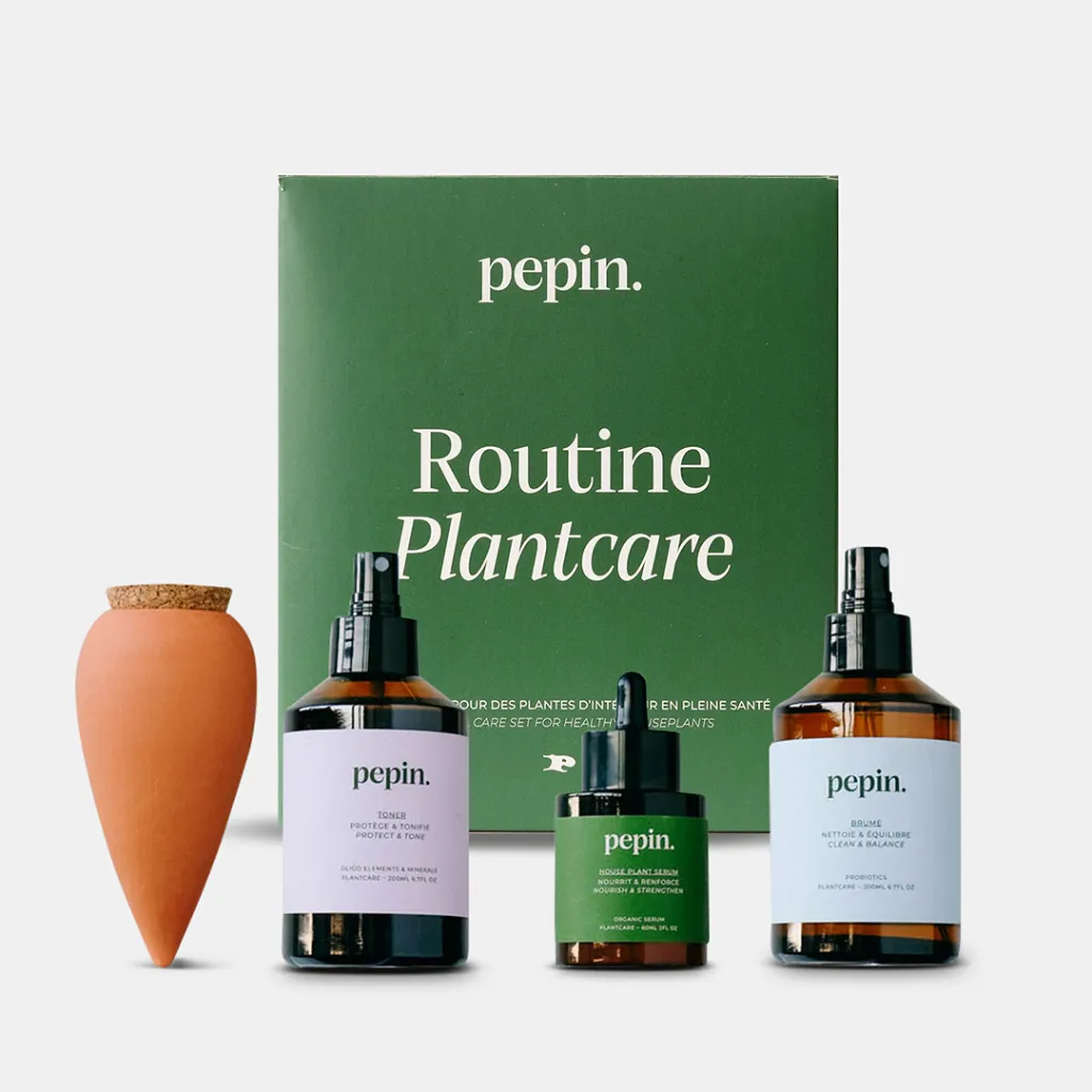 routine shopify.webp