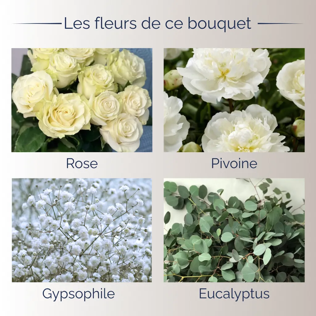 Pure élégance fleurs.webp
