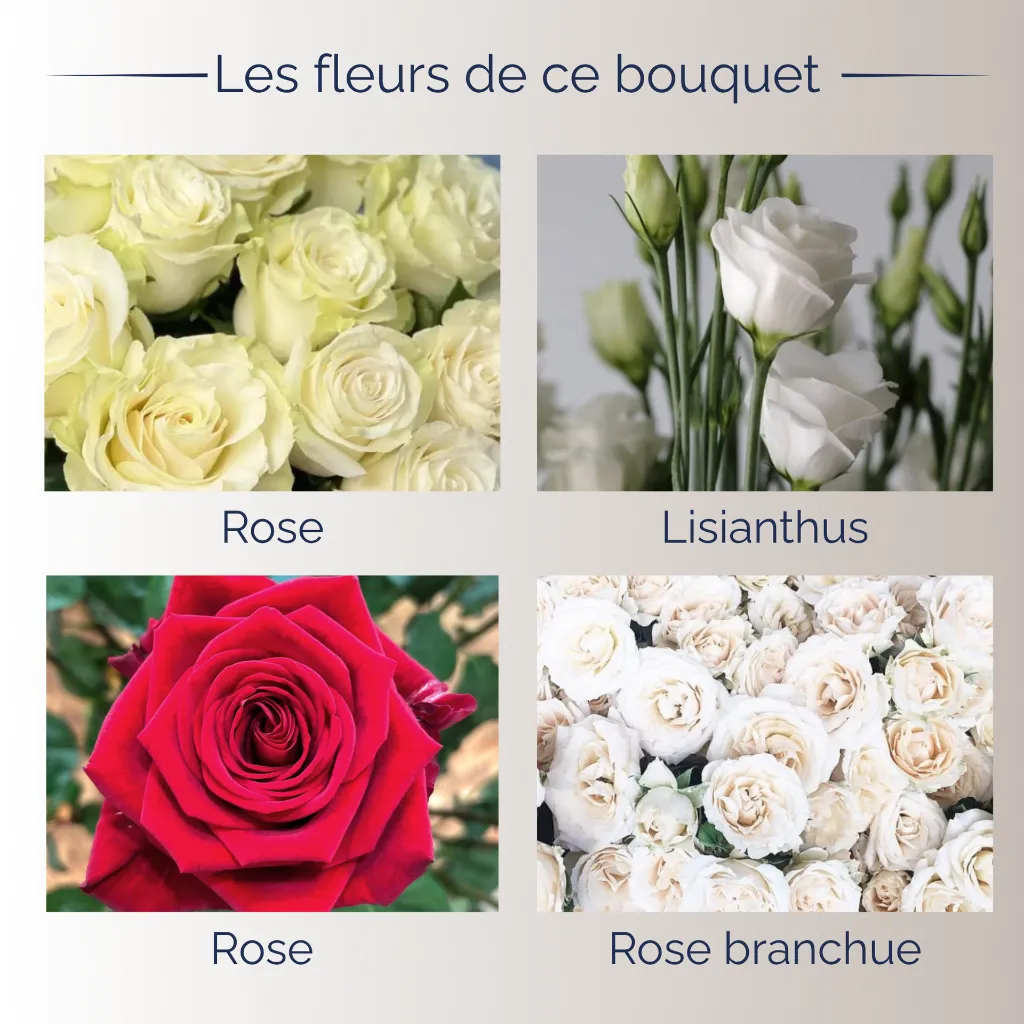 fleurs.webp
