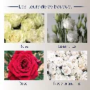 fleurs.webp