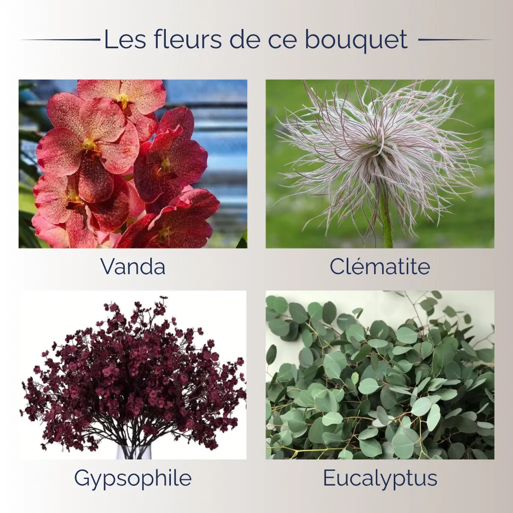 fleurs.webp