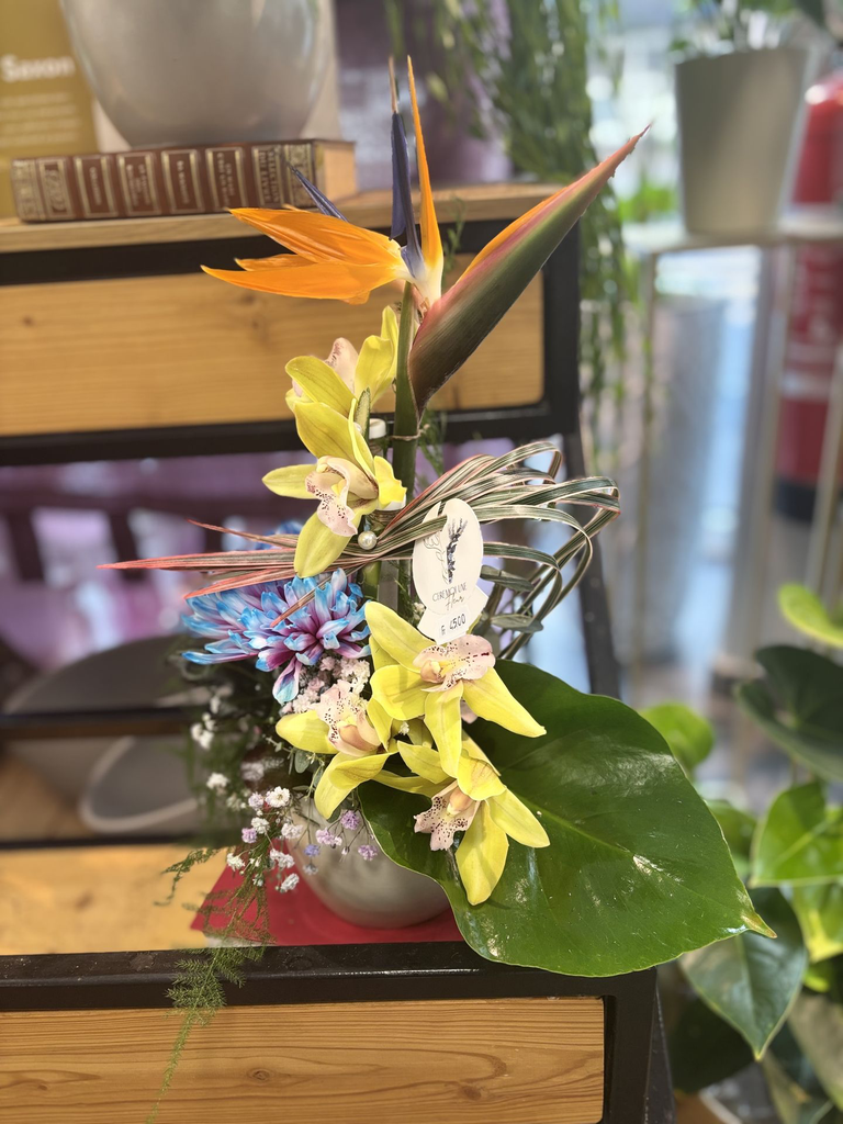 Arrangement exotique