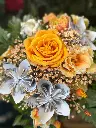 Bouquet Musical