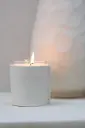 Bougie parfumée Cuir Blanc – 36 heures, Grape White