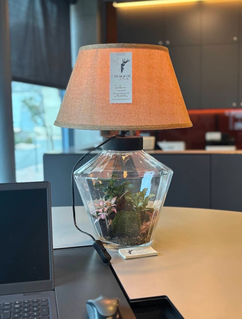 Lampe Terrarium
