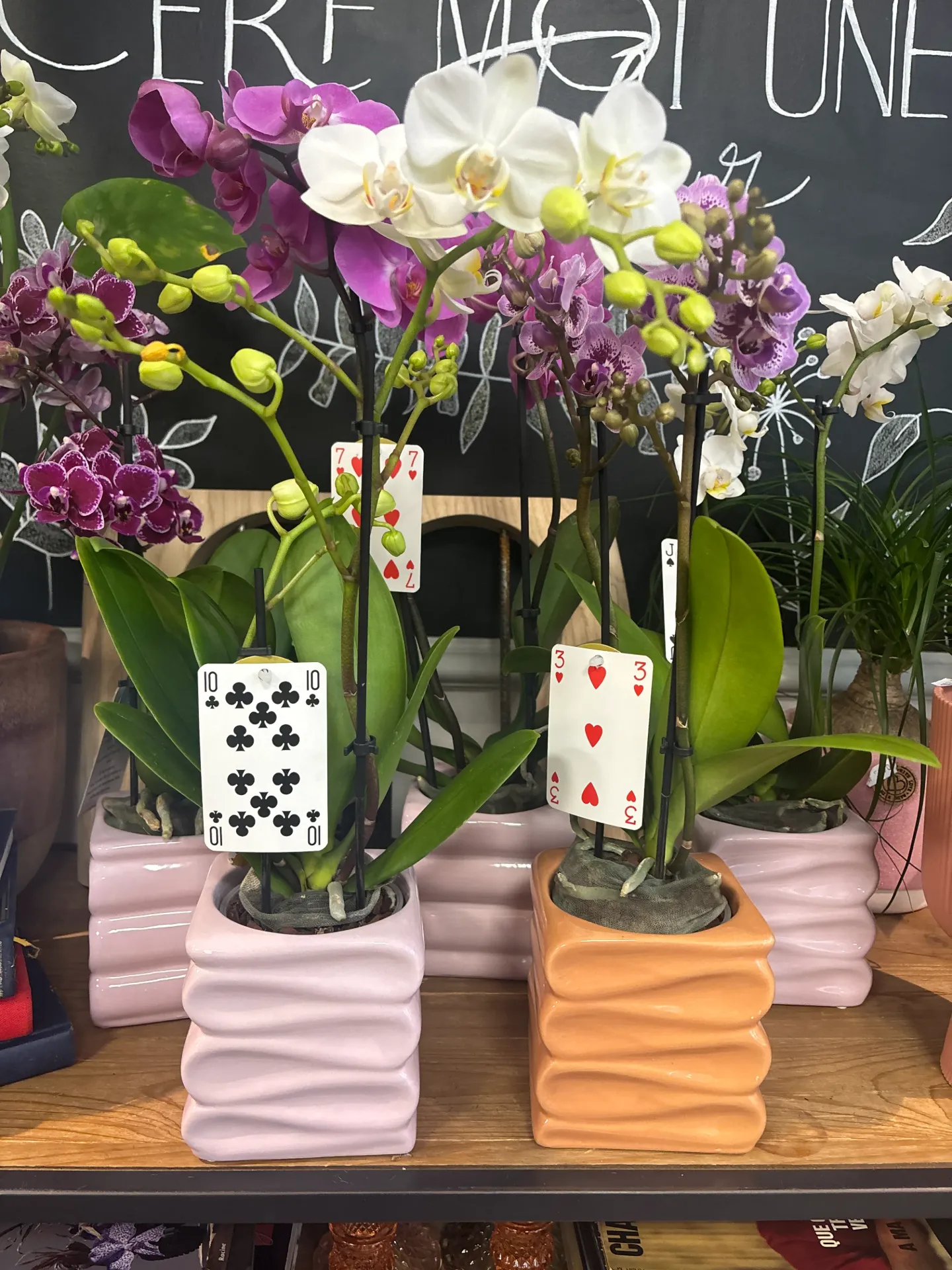 L’Orchidée Porte-Bonheur aux Cartes à Jouer