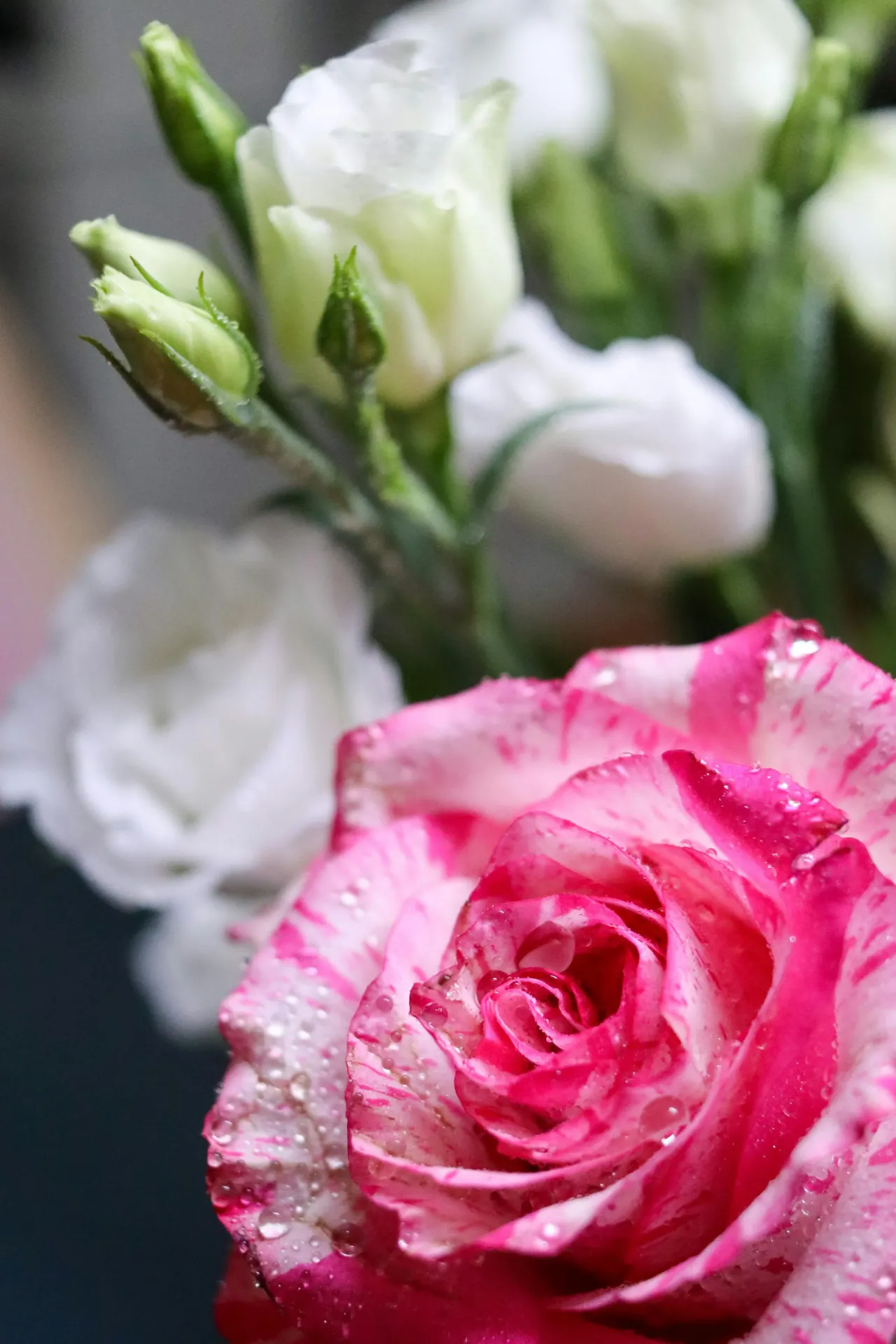 Tendresse de Maman 💖