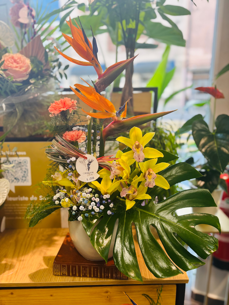 Arrangement hauteur (Rouge, Mignon)