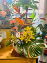 Arrangement hauteur
