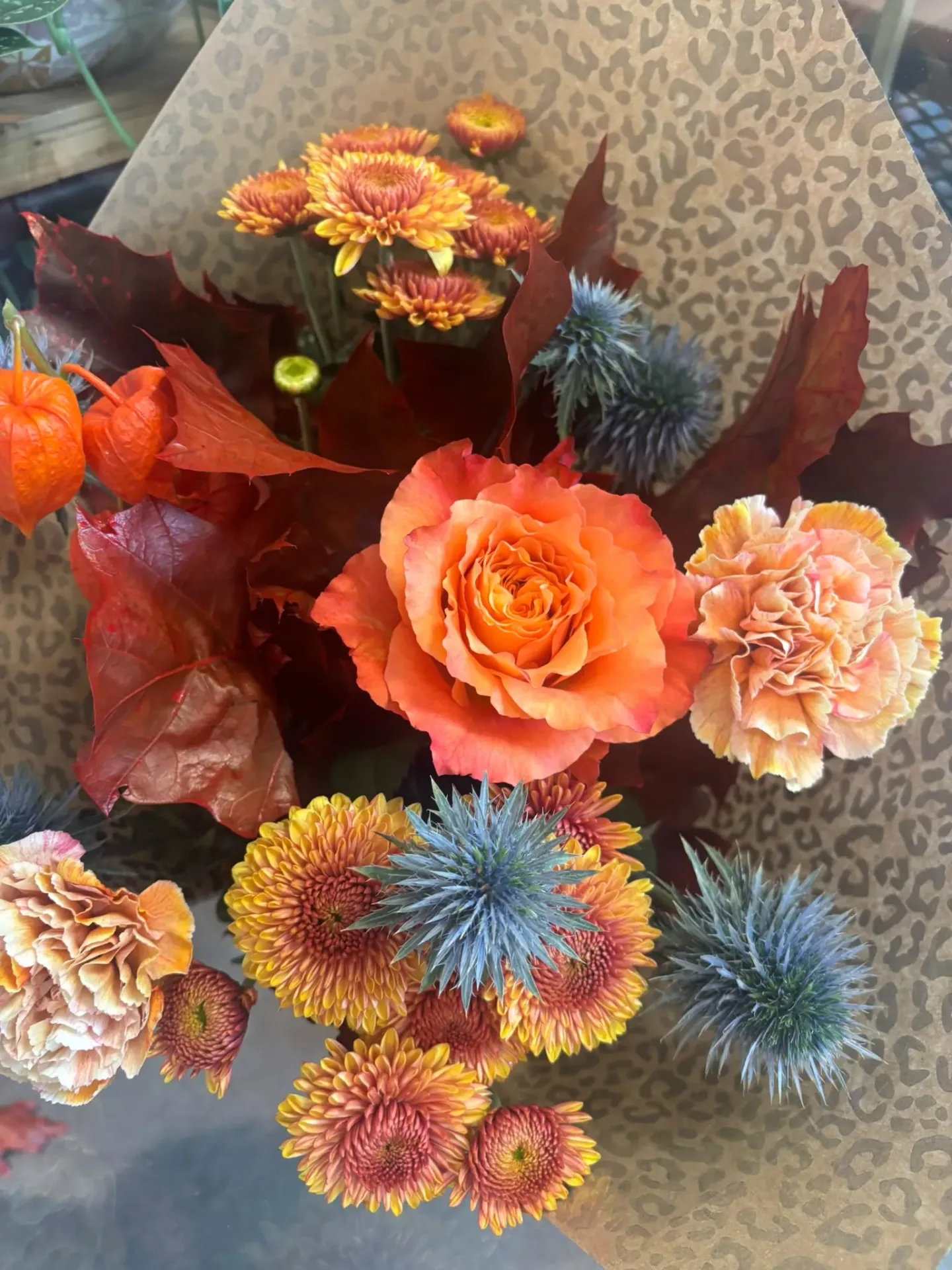 Flambée d’Automne (Mignon)