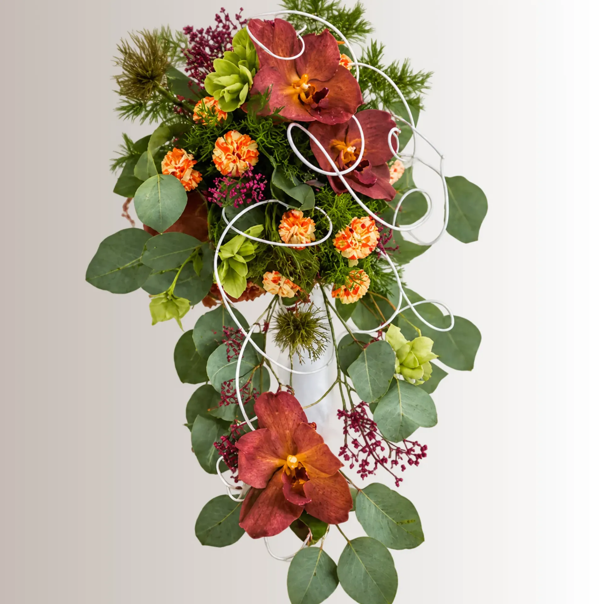 Orchidée Élégance