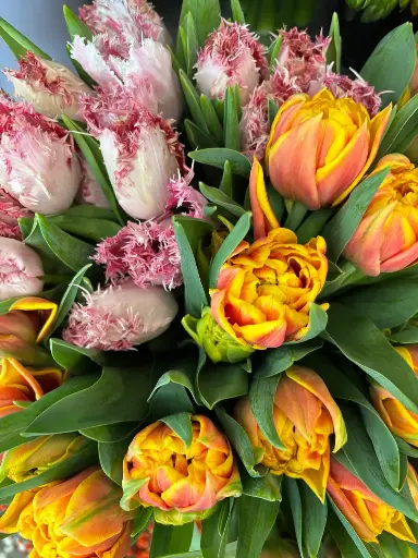 Arrangement de saison
